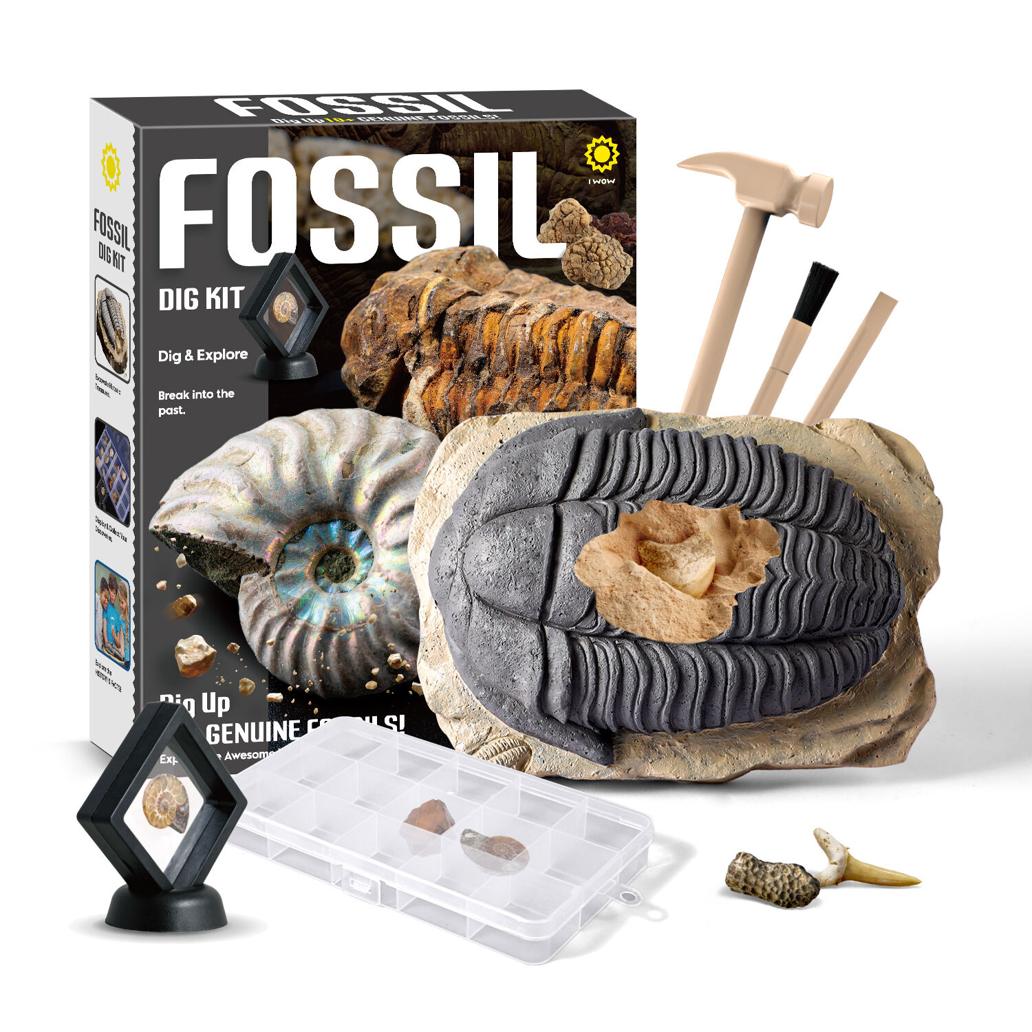 KIT DE CREUSATION DE FOSSILES