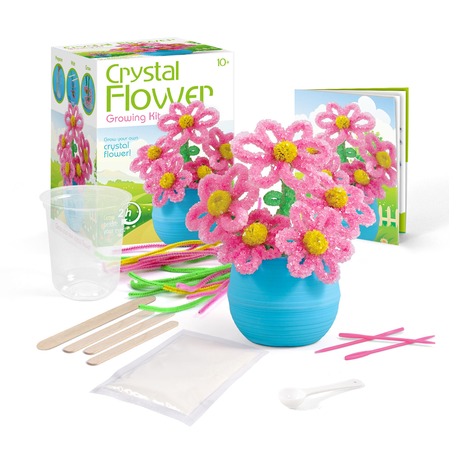 Kits de culture de fleurs Grystal