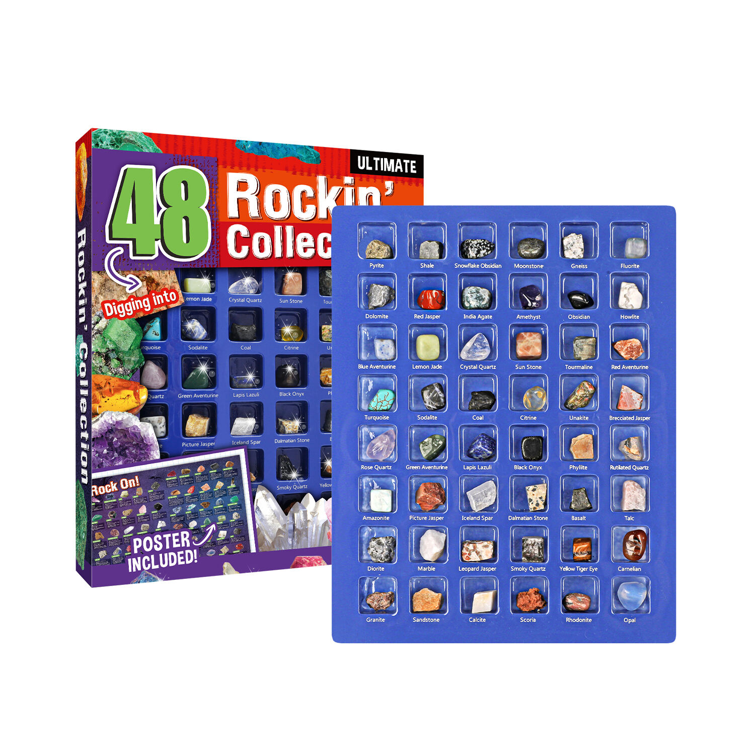 Rockin’ Collection - 48Pcs Senior