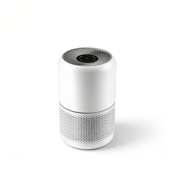 Household Air Purifier.jpg