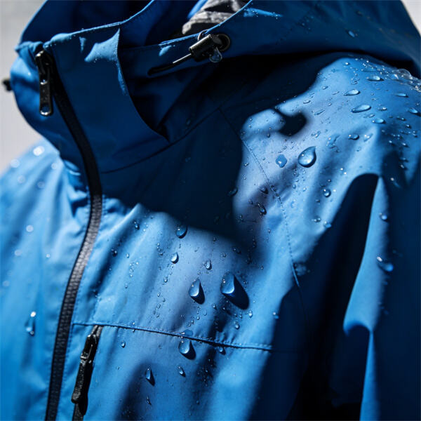 Interchange jacket.jpg