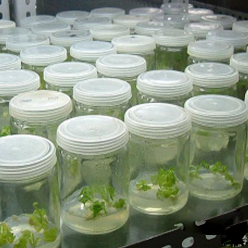 ePTFE Membrane for Liquid Filtration (1).jpg