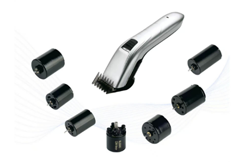 BLDC MOTOR FOR PERSONAL CARE