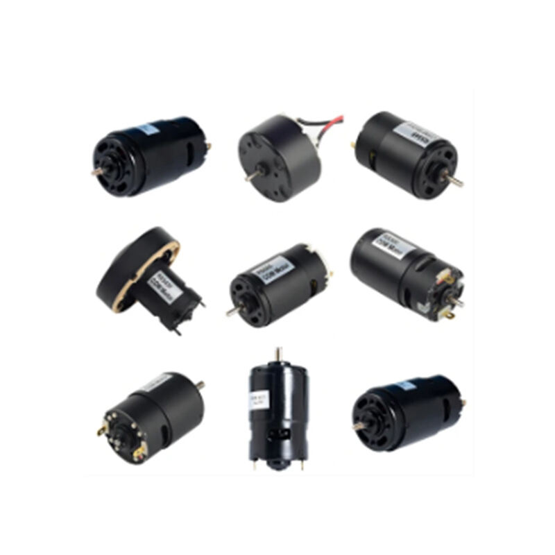 Permanent brushed dc motor