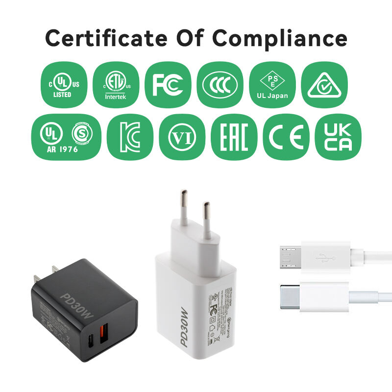 US Standard 30W PD Fast Charger Dual Ports