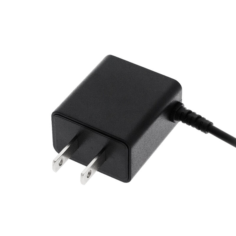 6V 1A Output Wall-Mount Power Adapter