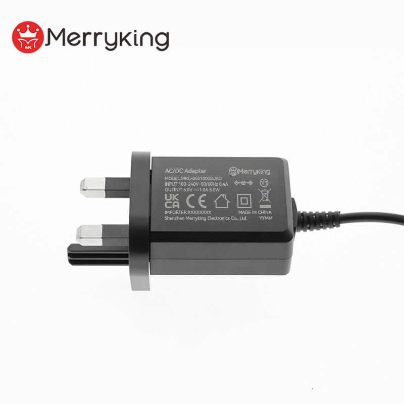 UK Plug 5V 2A Switching Power Adapter