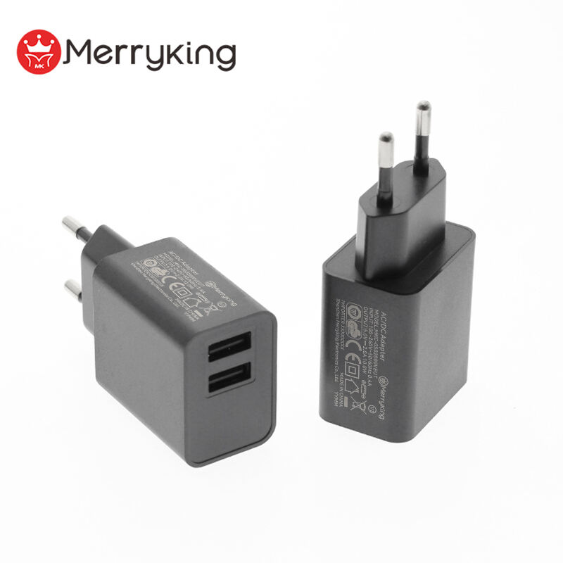 EU Plug 5V 800mA Dual USB A Charger