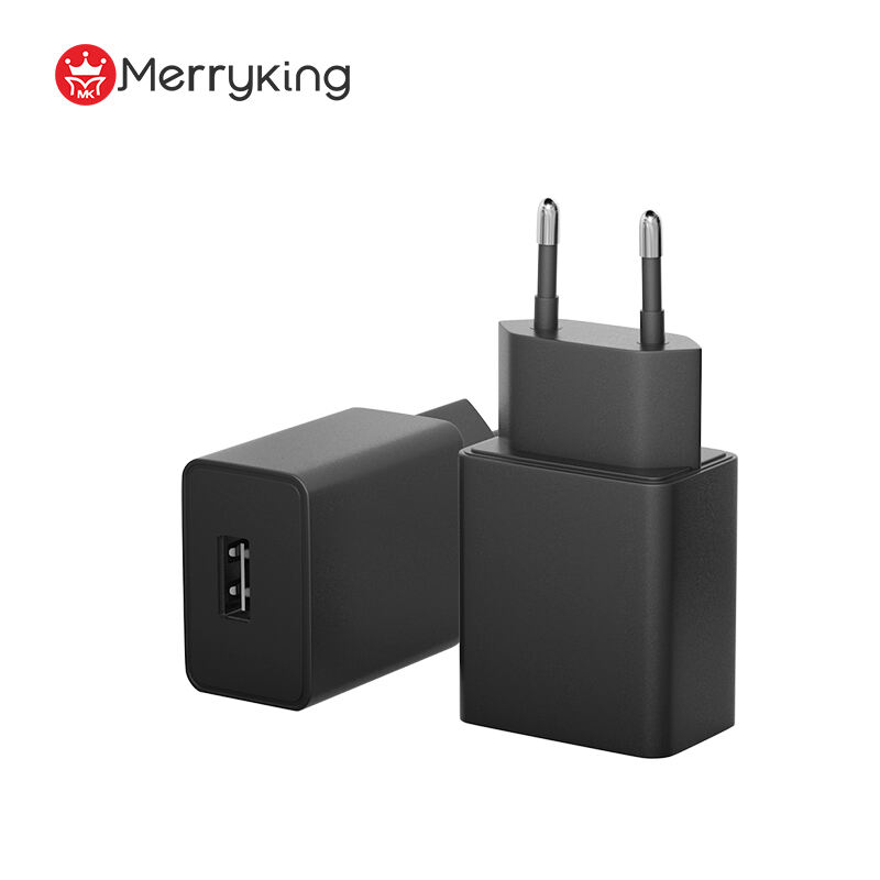 European Type 5V 2.5A USB Portable Charger