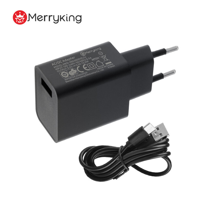 European Type Power Adapter 8V 2A