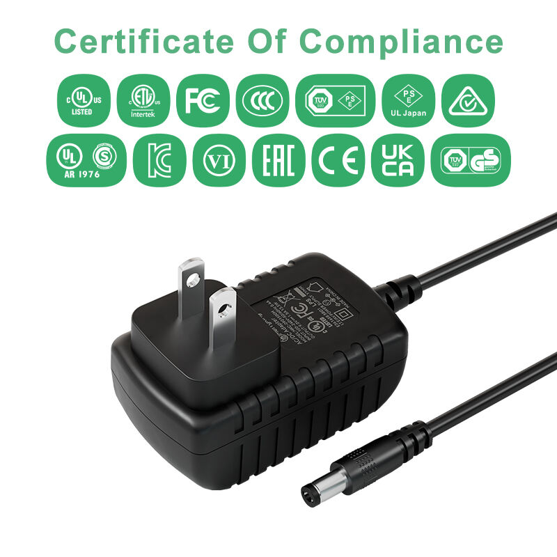 European Plug 5V 3A Switching Power Adaptor