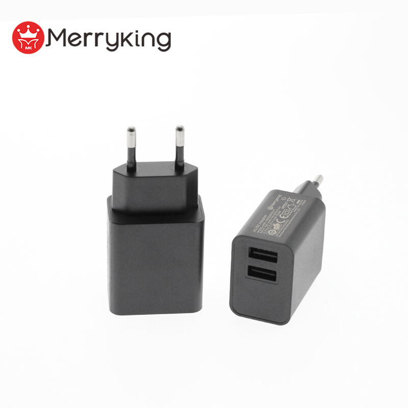 EU Plug 5V 800mA Dual USB A Charger