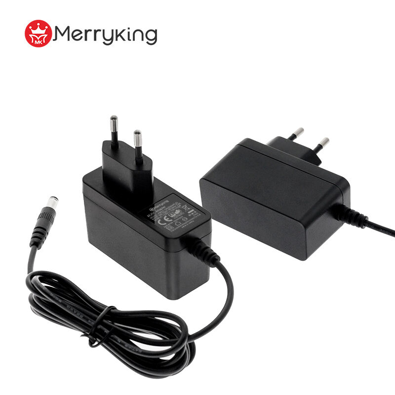 EU Type 12V 2.5A Power Adapter