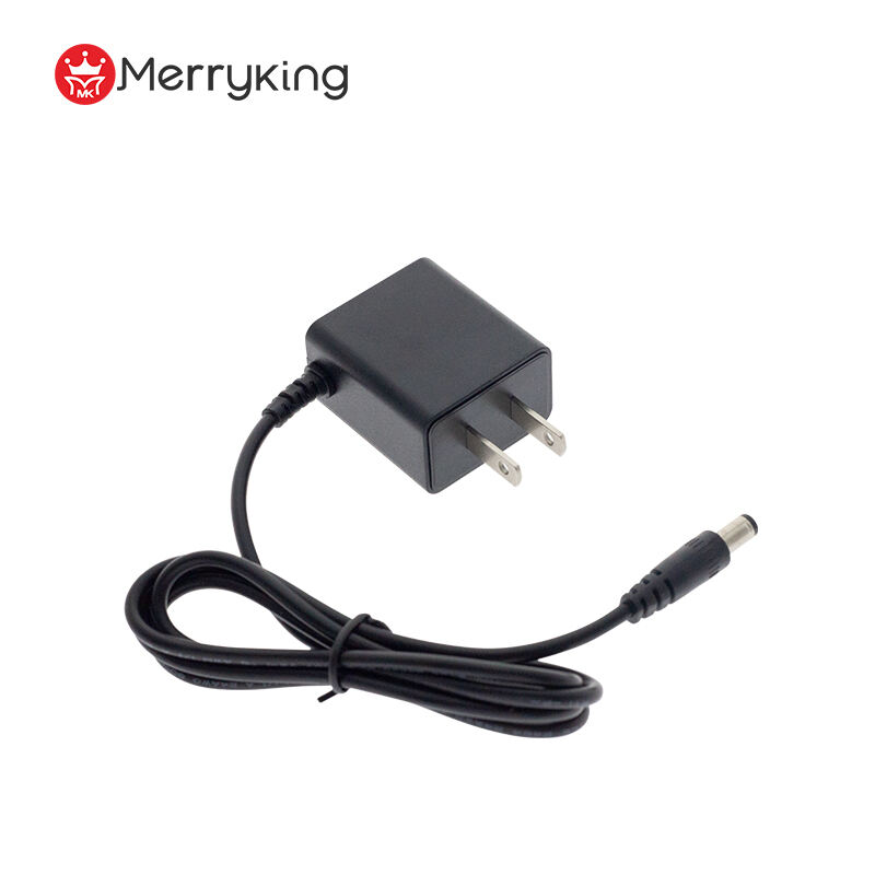 6V 1A Output Wall-Mount Power Adapter