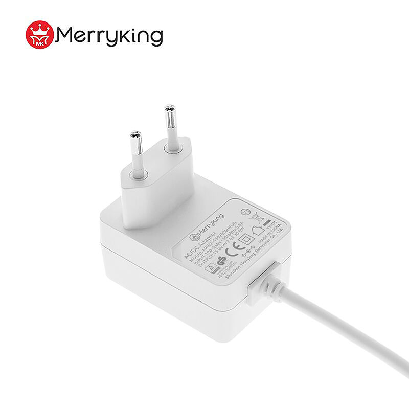 Medical Power Adapter 24V 1A 