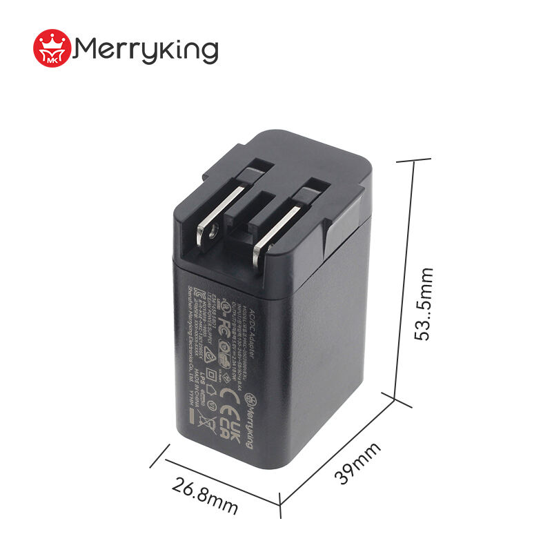 Interchangeable Type 5V 3000mA USB Dual Port Charger