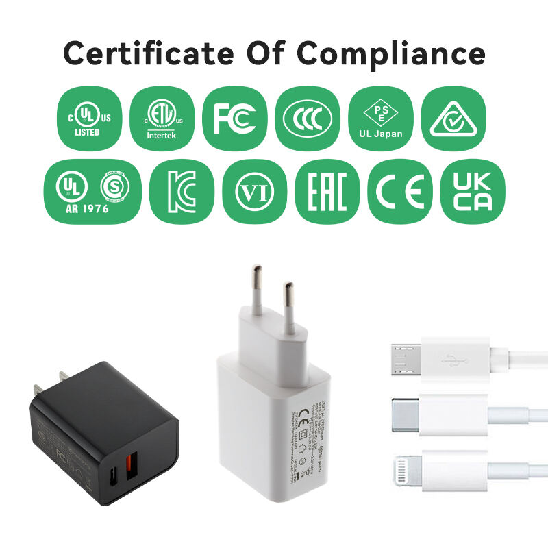 US Type PD 20W USB Type Fast Charger