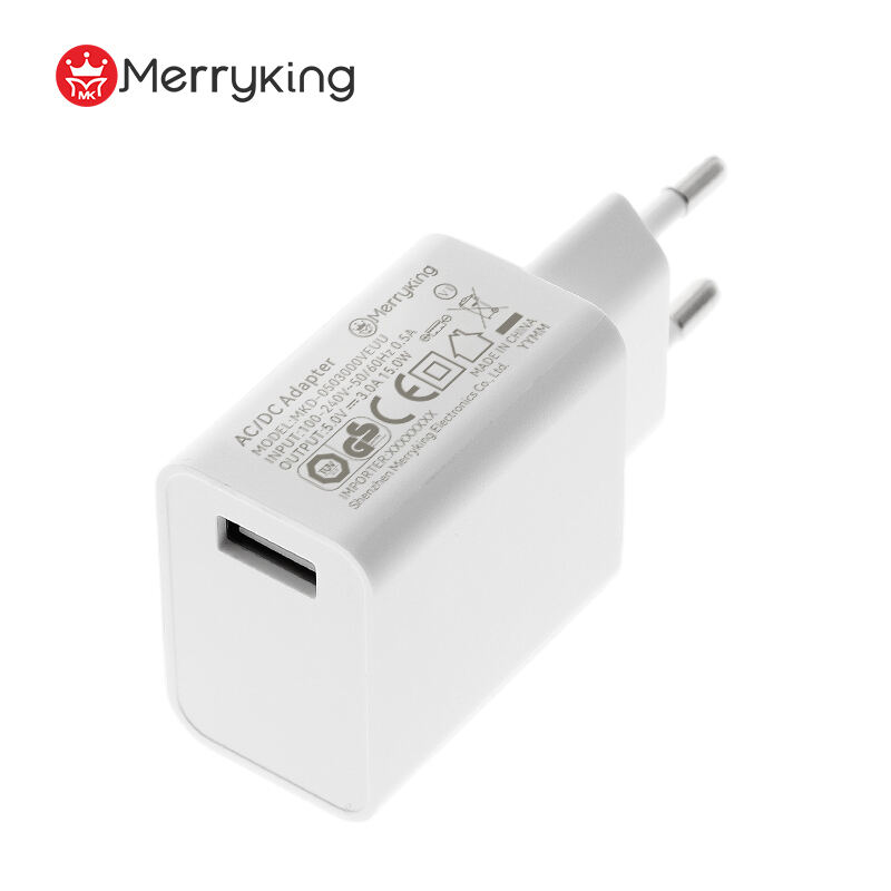 European Type Power Adapter 8V 2A