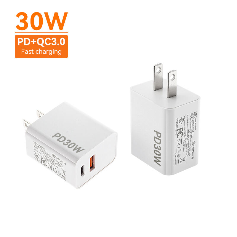 US Standard 30W PD Fast Charger Dual Ports