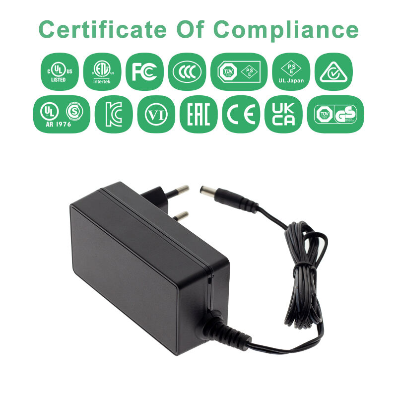 Switching Adapter 24V 2 Amp Power Supply