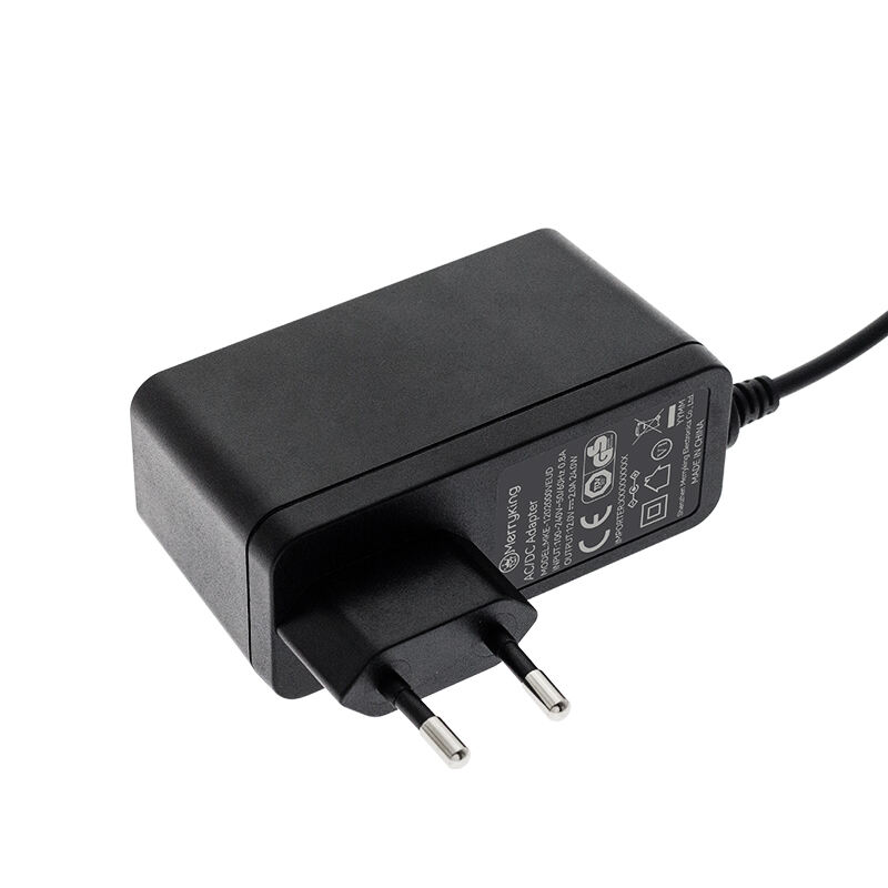 EU Plug 19V 3A Switching Power Supply