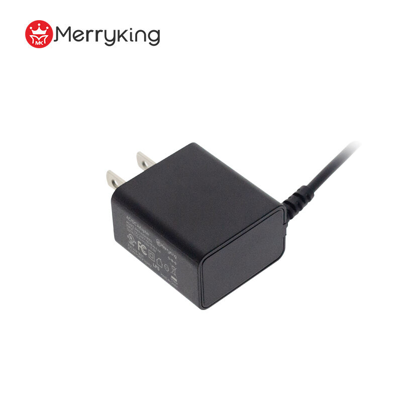 6V 1A Output Wall-Mount Power Adapter