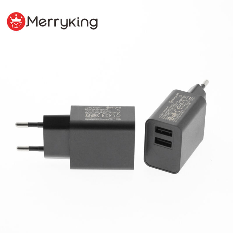 EU Plug 5V 800mA Dual USB A Charger