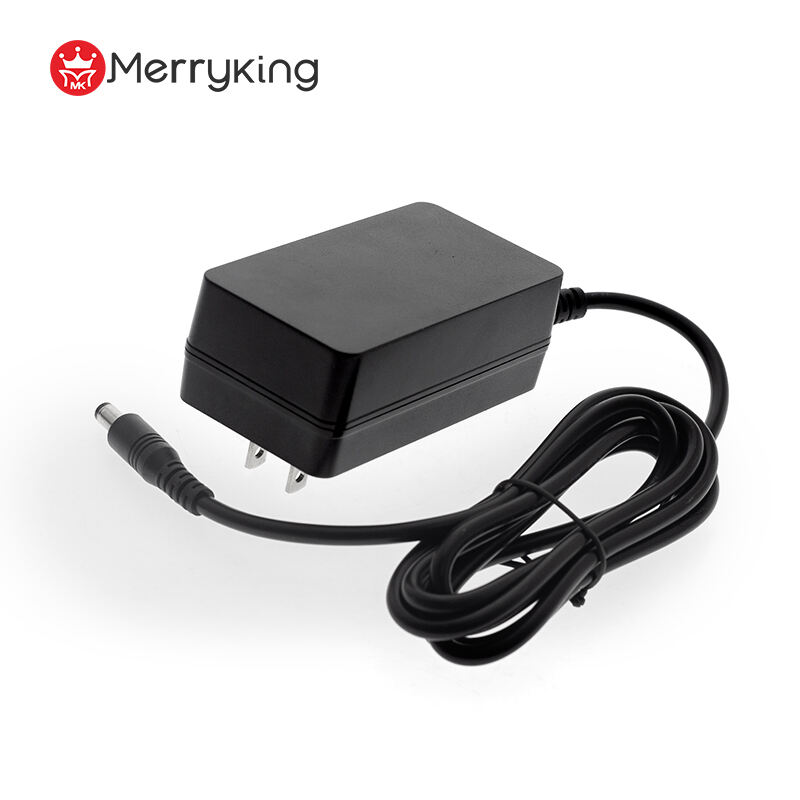 12V 4A DC Power Adapter