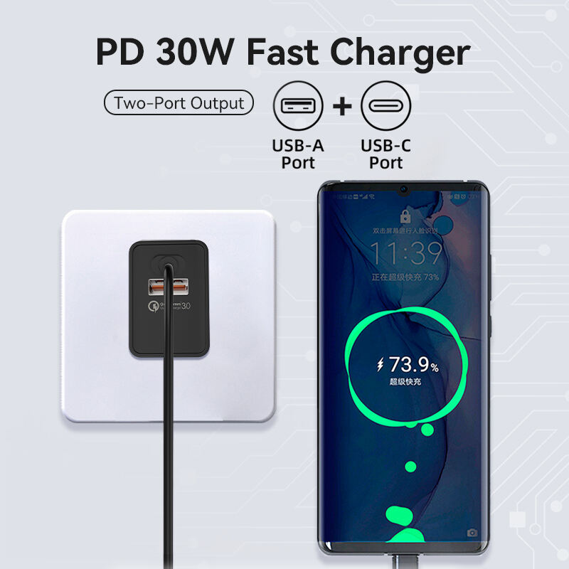 Interchangeable Standard 30W PD Portable Dual Charger