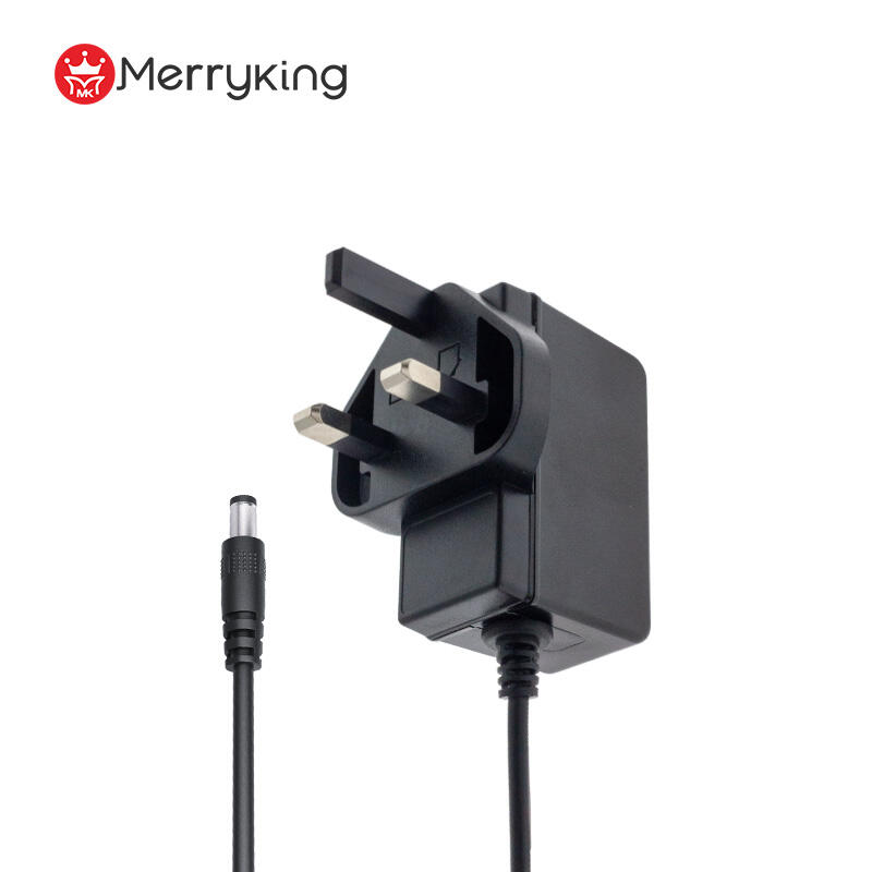 UK Plug 24V 0.5A Switching Power Adapter