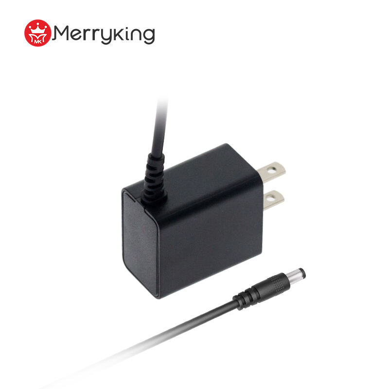 6V 1A Output Wall-Mount Power Adapter