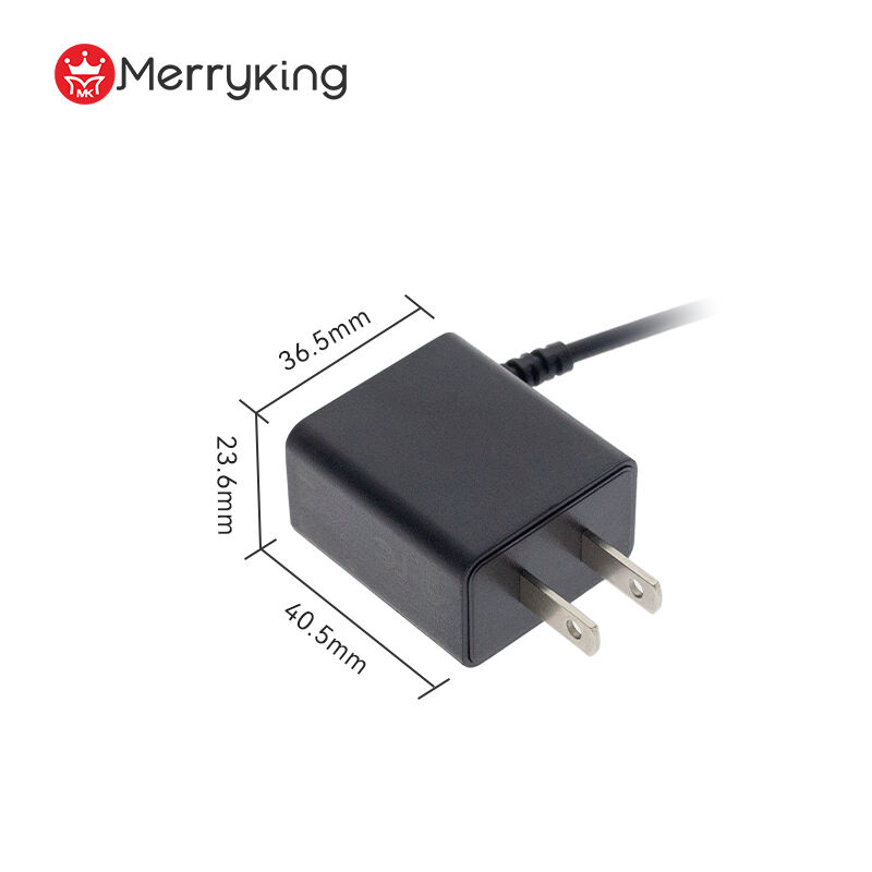 6V 1A Output Wall-Mount Power Adapter