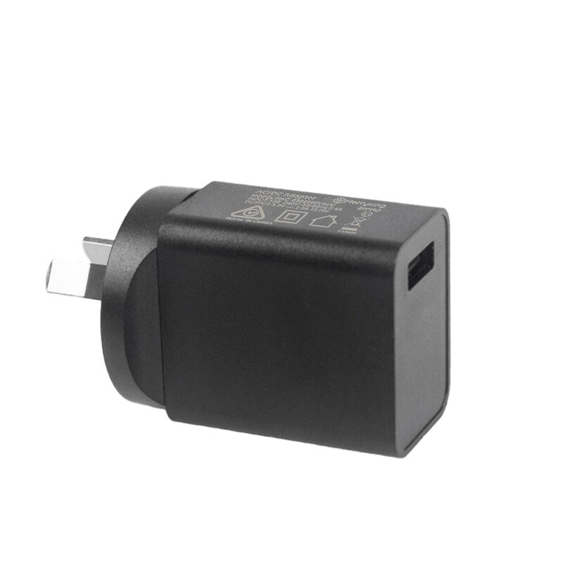 AU Standard 5Volt 2Amp Type A Charger