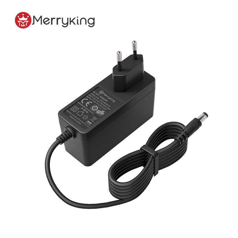 European Type Power Adapter 48V 0.7A