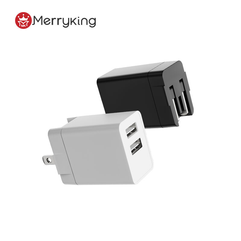 US Plug 5V 500mA USB A Dual Charger