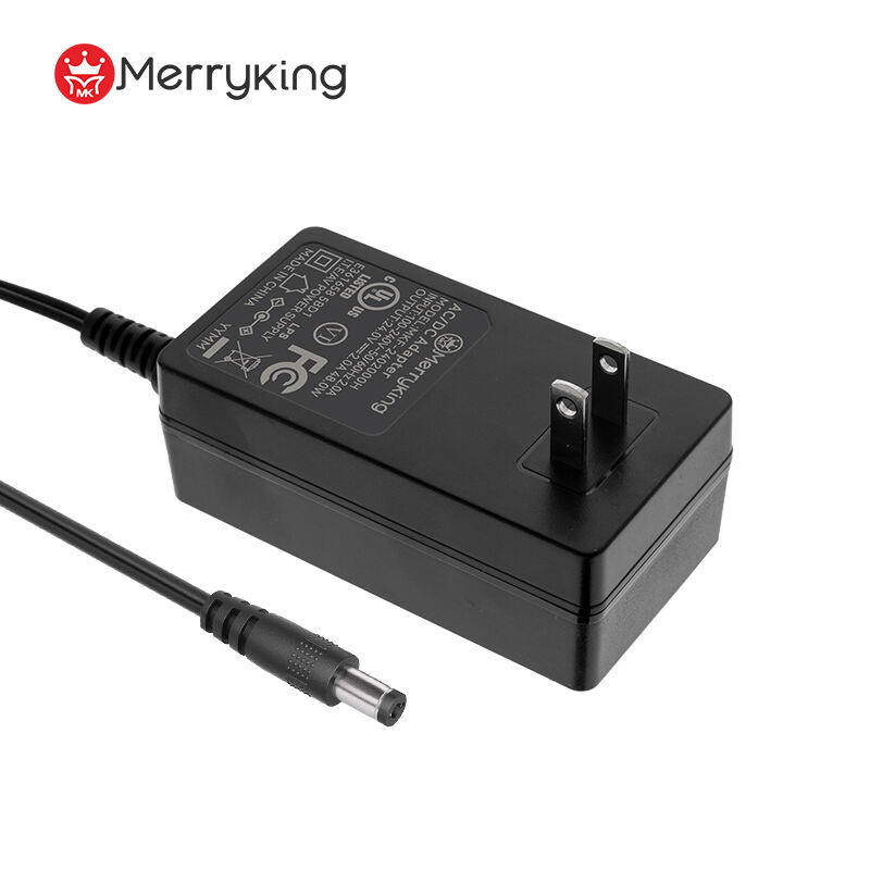 12V 4A DC Power Adapter