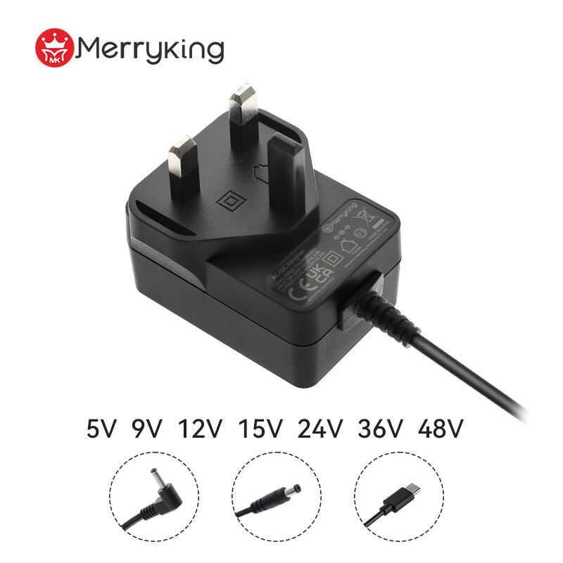 16V 1.5 Amper 24W Power Adaptor