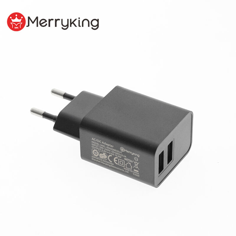 EU Plug 5V 800mA Dual USB A Charger