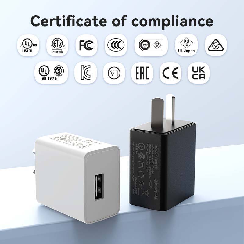 Argentina Plug 5V 500ma USB Charger