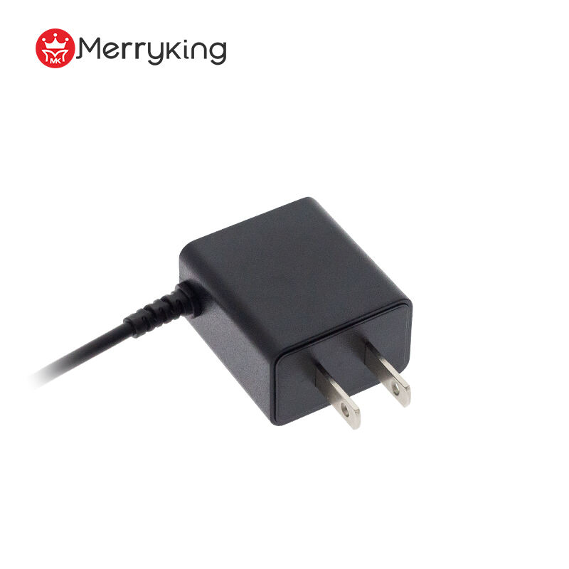 6V 1A Output Wall-Mount Power Adapter