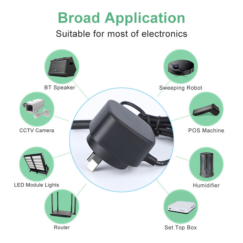 AU Type 5V 2.1A Micro USB Charger