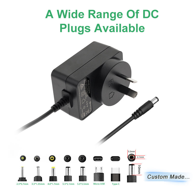 DC Output 12.6V 2A Switching Adapter