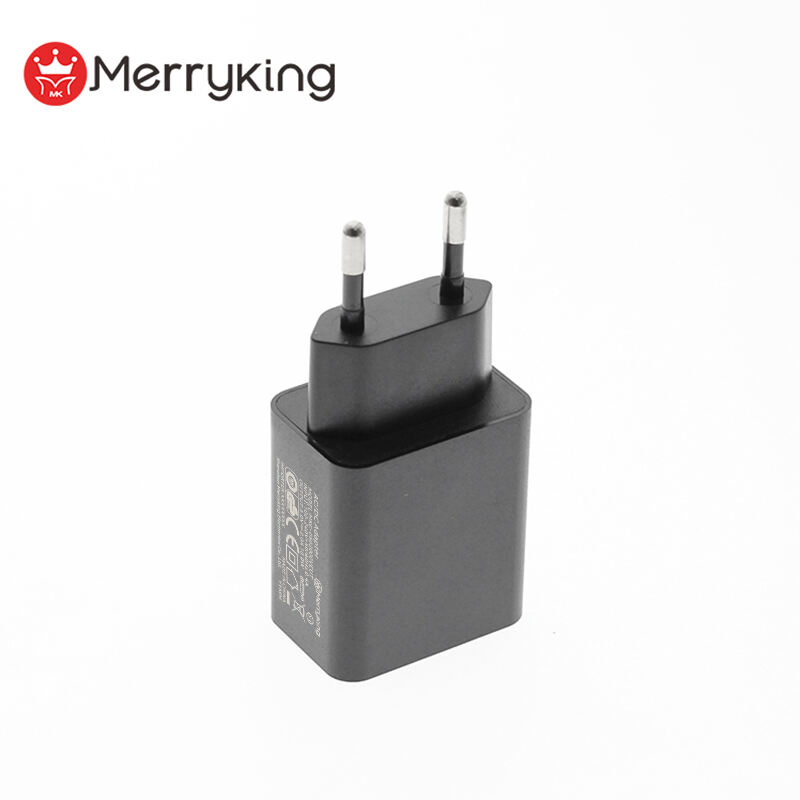 EU Plug 5V 800mA Dual USB A Charger