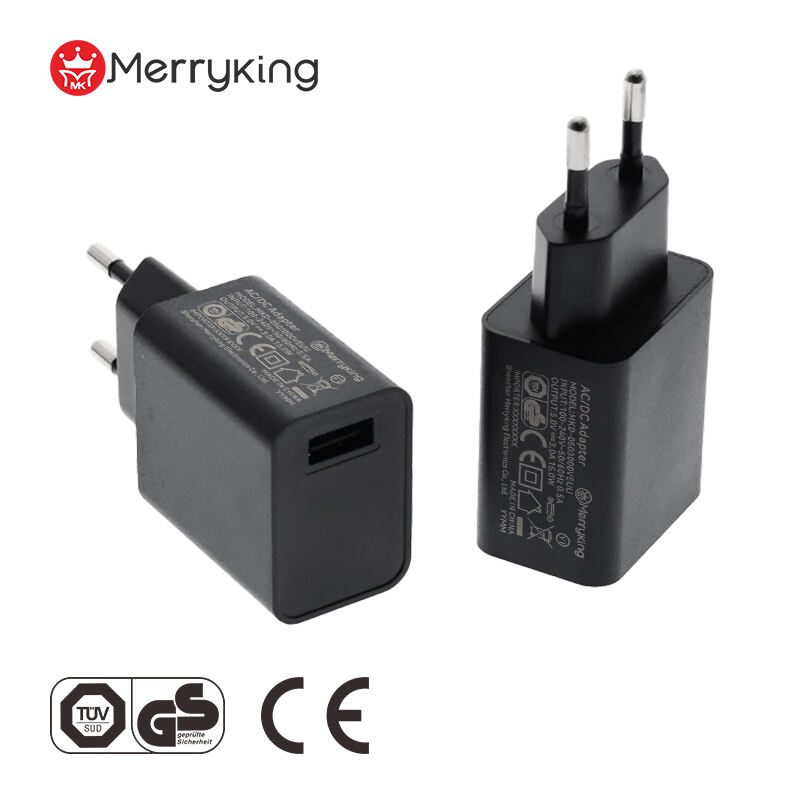 European Type Power Adapter 8V 2A