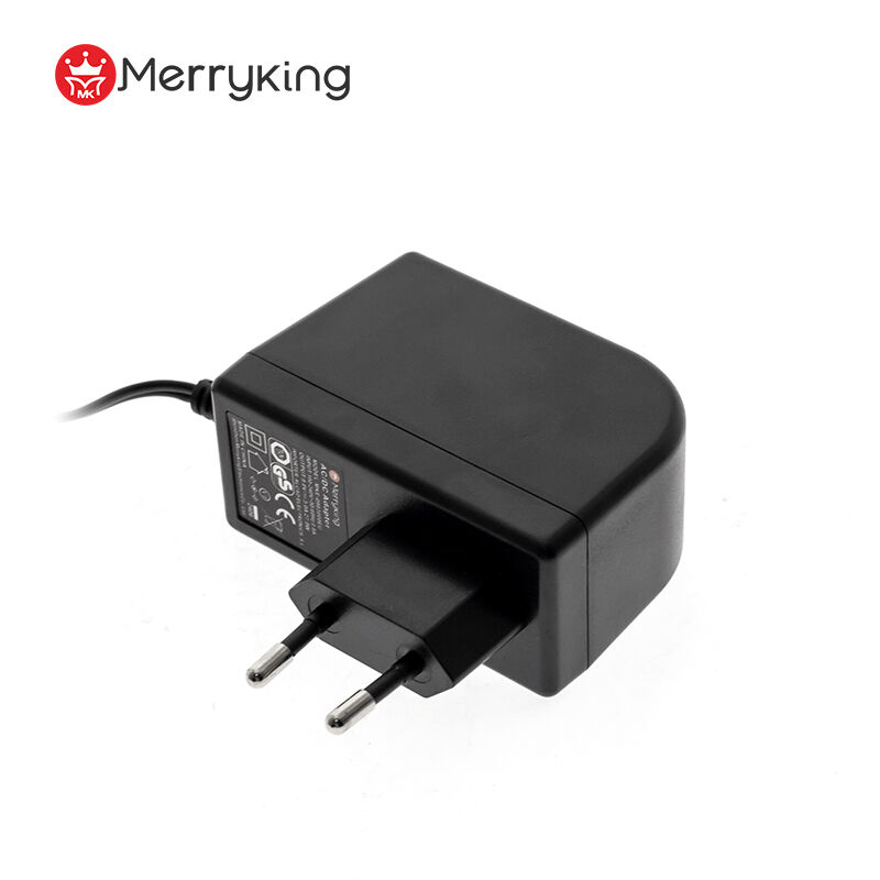12 Volt 2 Amp Slim Power Adapter - Compact Design by Merryking