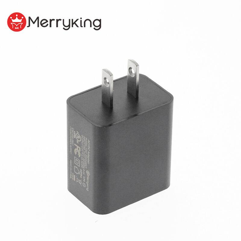 US Plug 5V 500mA USB A Dual Charger