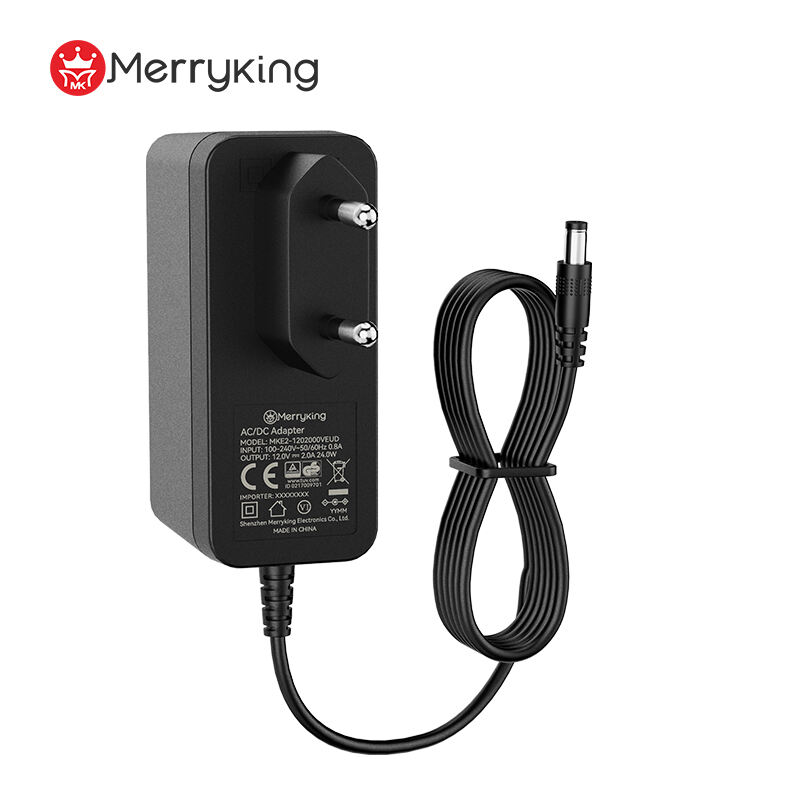 EU Type 12V 2.5A Power Adapter