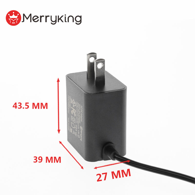 12V 1.5A Output Wall-Mount Power Adapter