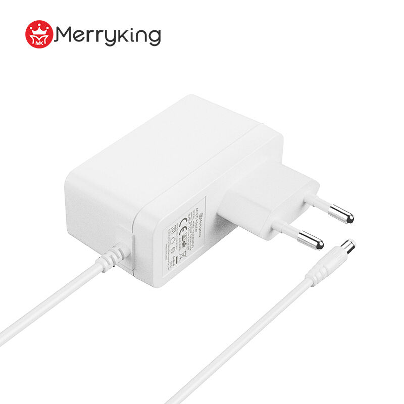 EU Type 12V 2.5A Power Adapter