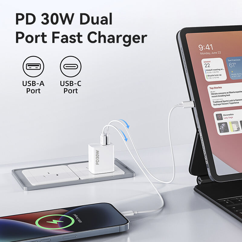 US Standard 30W PD Fast Charger Dual Ports